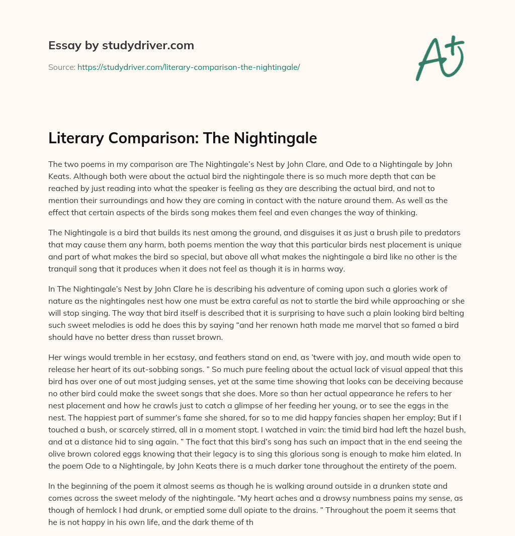 Literary Comparison: the Nightingale essay