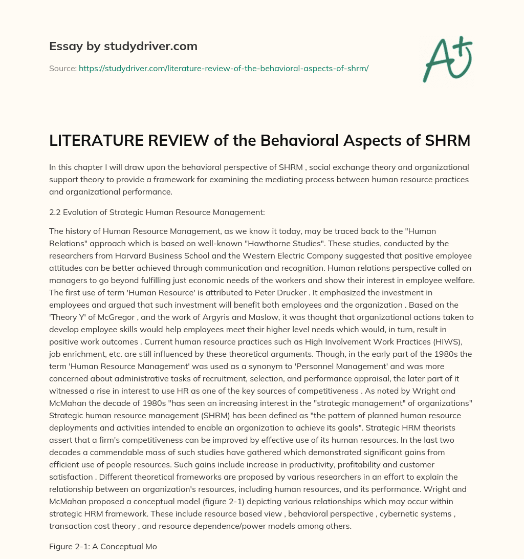 LITERATURE REVIEW of the Behavioral Aspects of SHRM essay