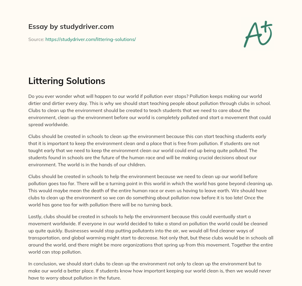 Littering Solutions essay