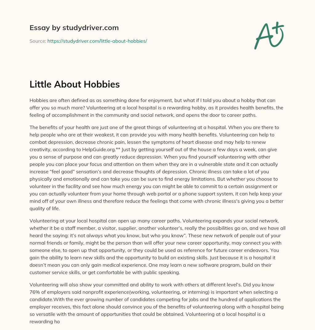 Little about Hobbies essay