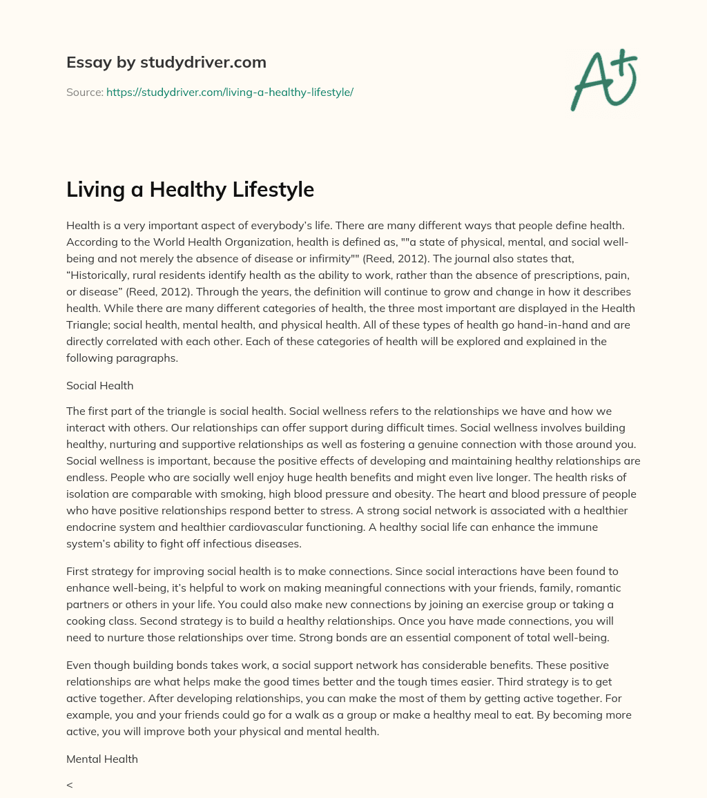 Living a Healthy Lifestyle essay