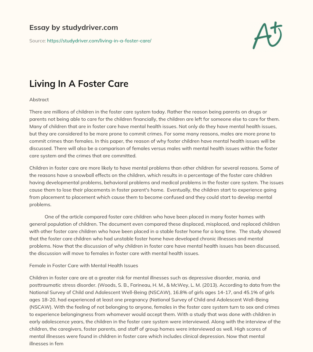 Living in a Foster Care essay