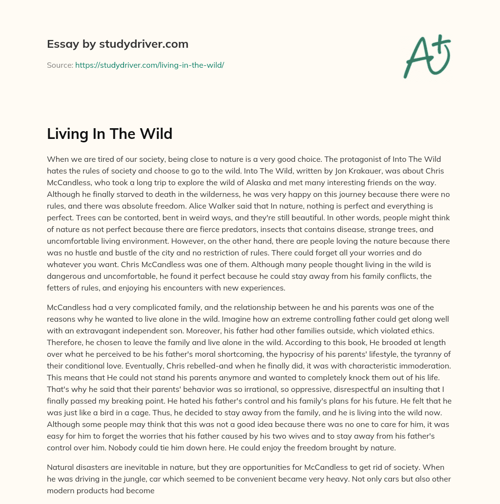 Living in the Wild essay