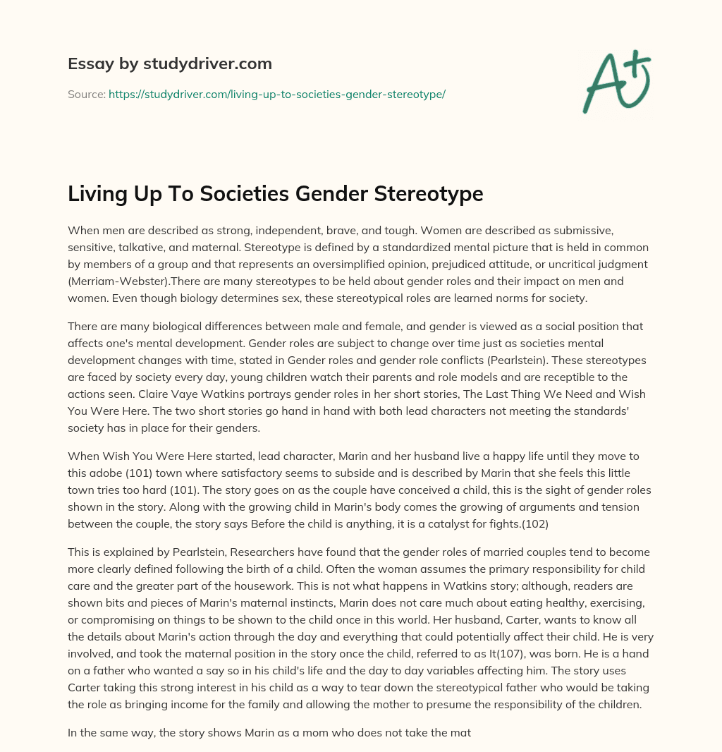 Living up to Societies Gender Stereotype essay