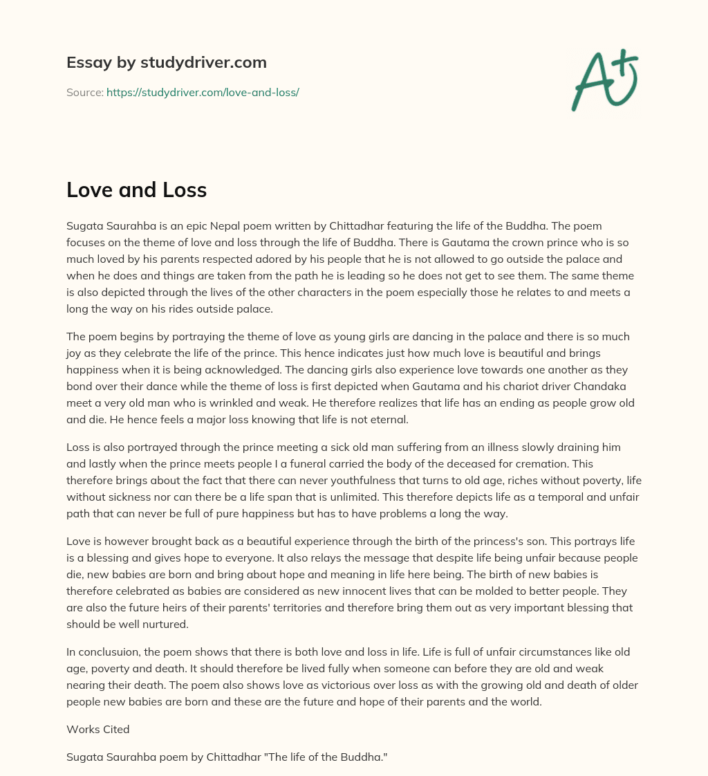 Love and Loss essay