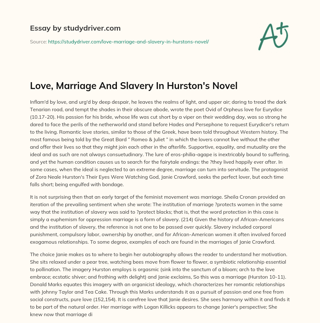 Love, Marriage and Slavery in Hurston’s Novel essay