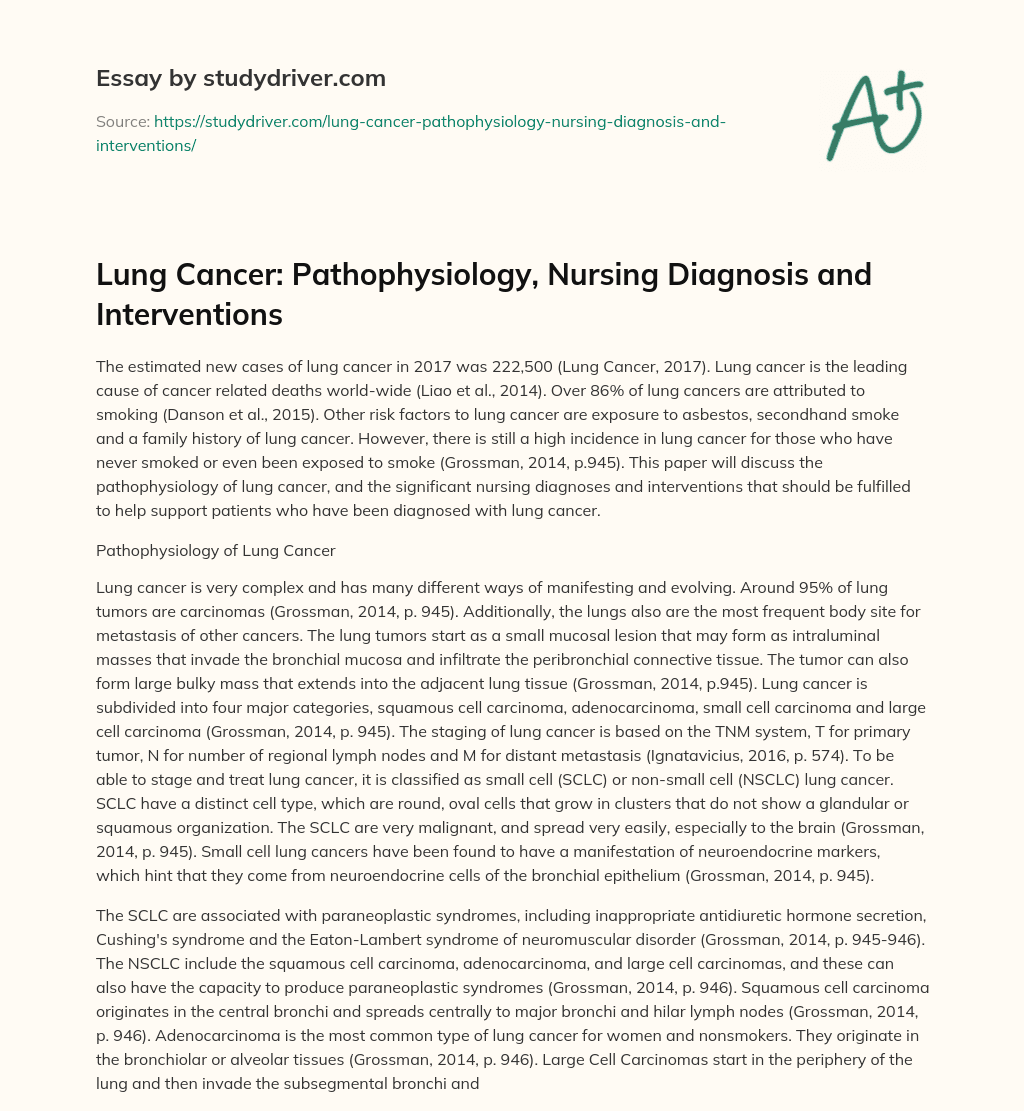 Lung Cancer: Pathophysiology, Nursing Diagnosis and Interventions essay