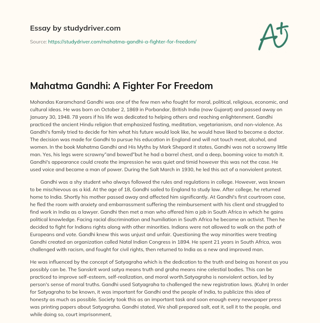 Mahatma Gandhi: a Fighter for Freedom essay