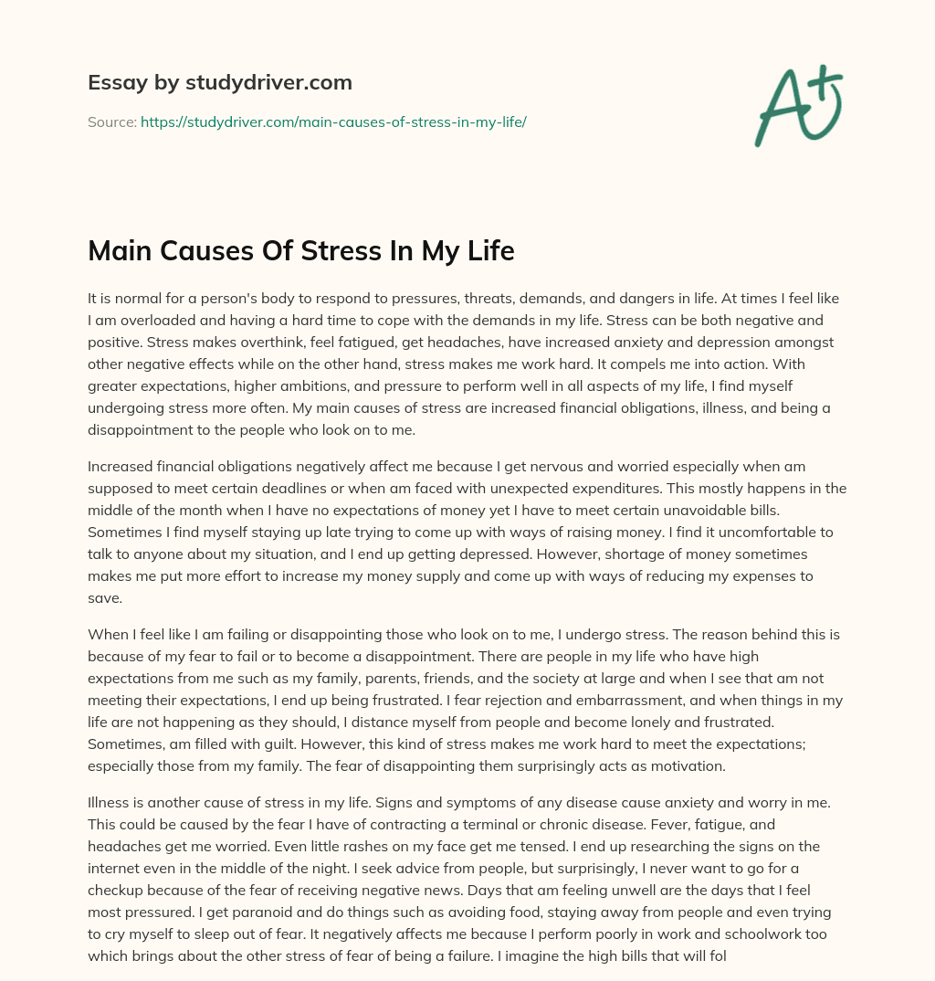 Main Causes of Stress in my Life essay