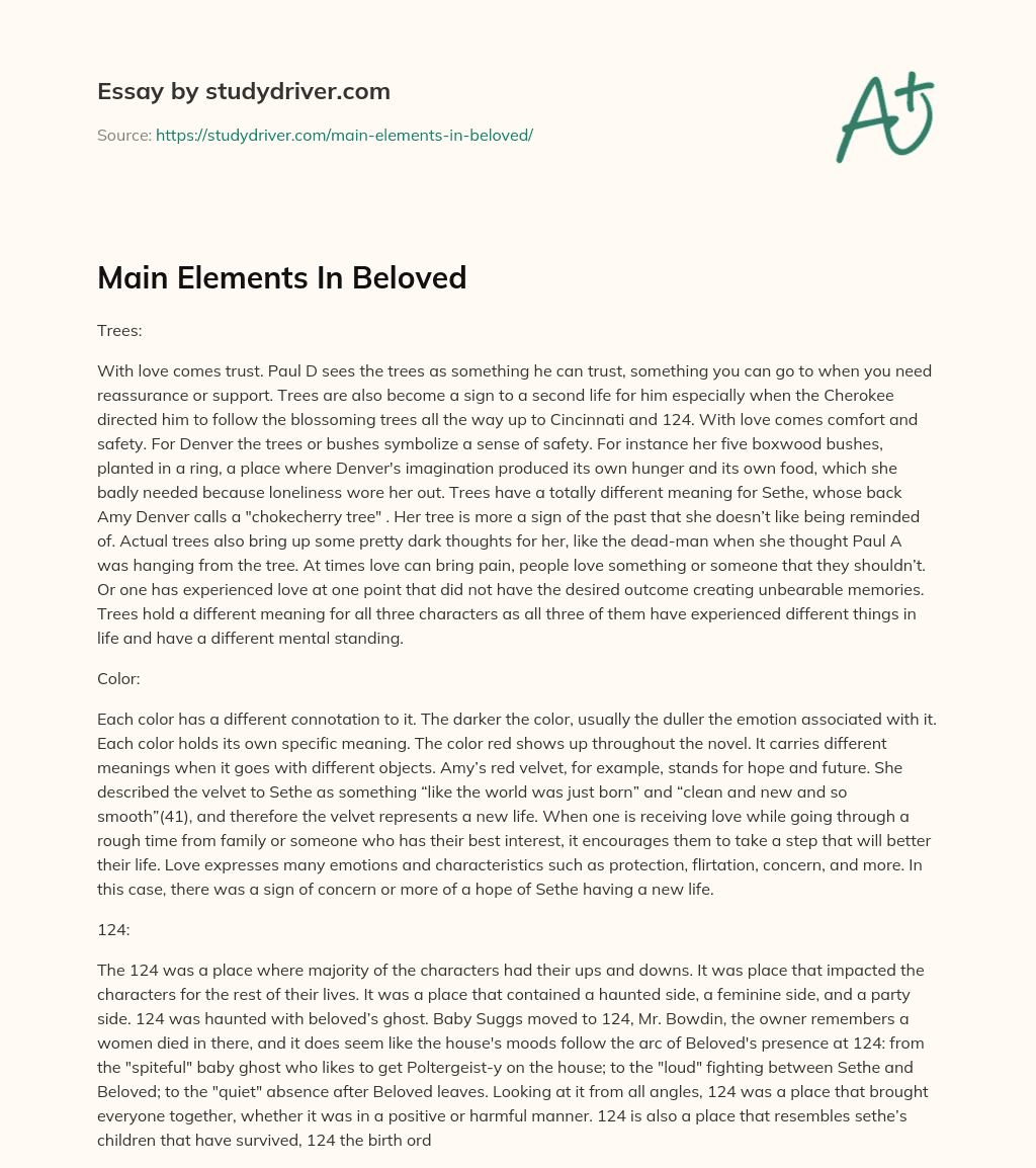 Main Elements in Beloved essay