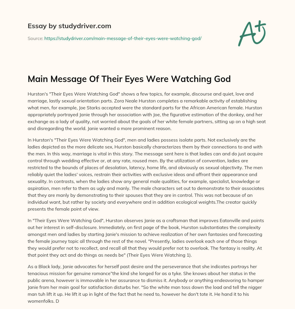 Main Message of their Eyes were Watching God essay