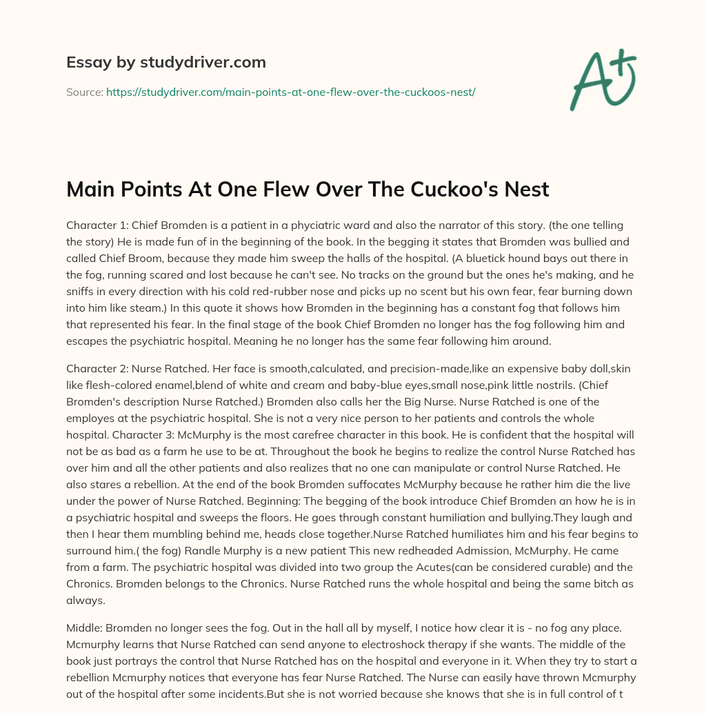 Main Points at One Flew over the Cuckoo’s Nest essay