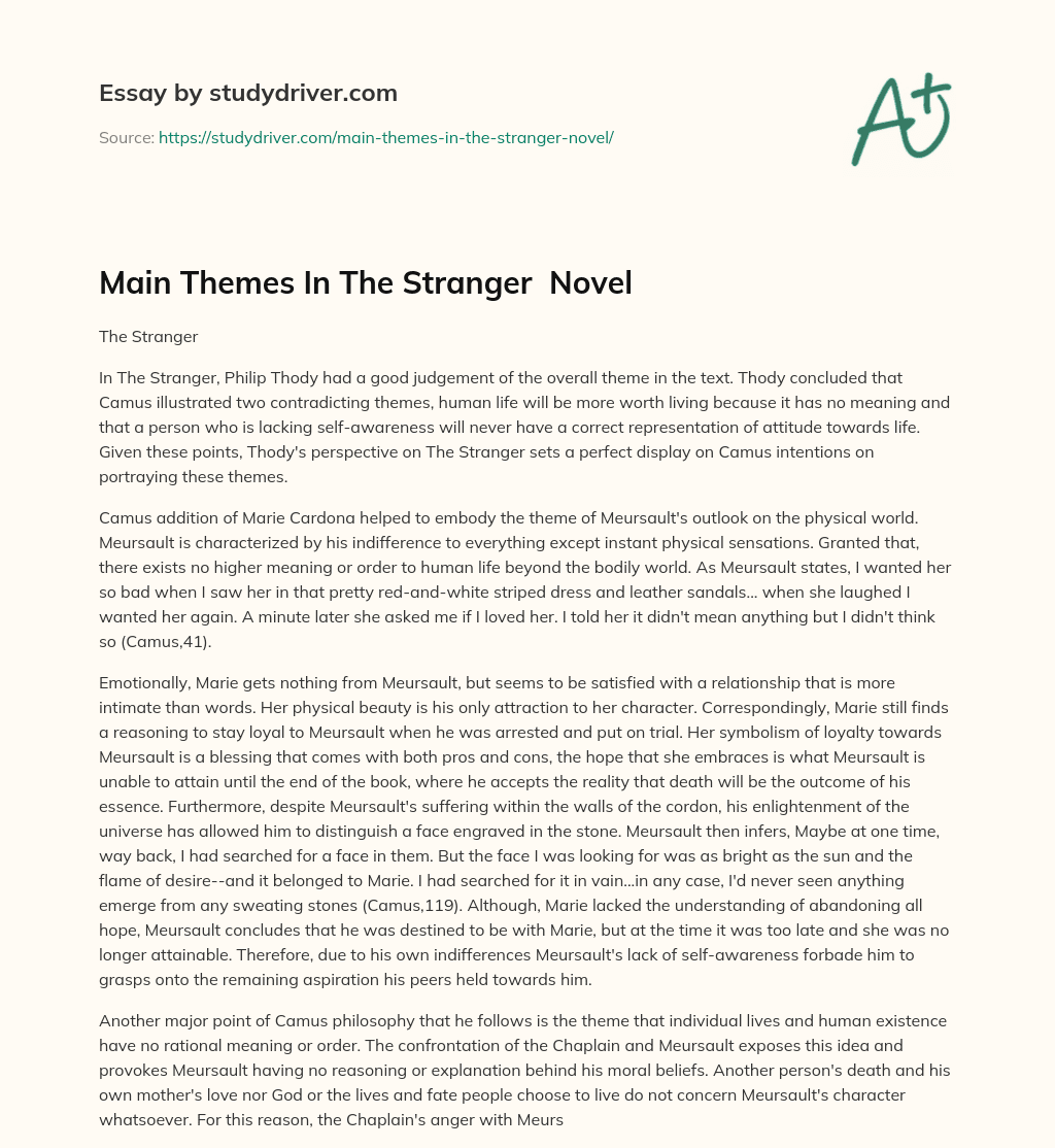 Main Themes in the Stranger  Novel essay