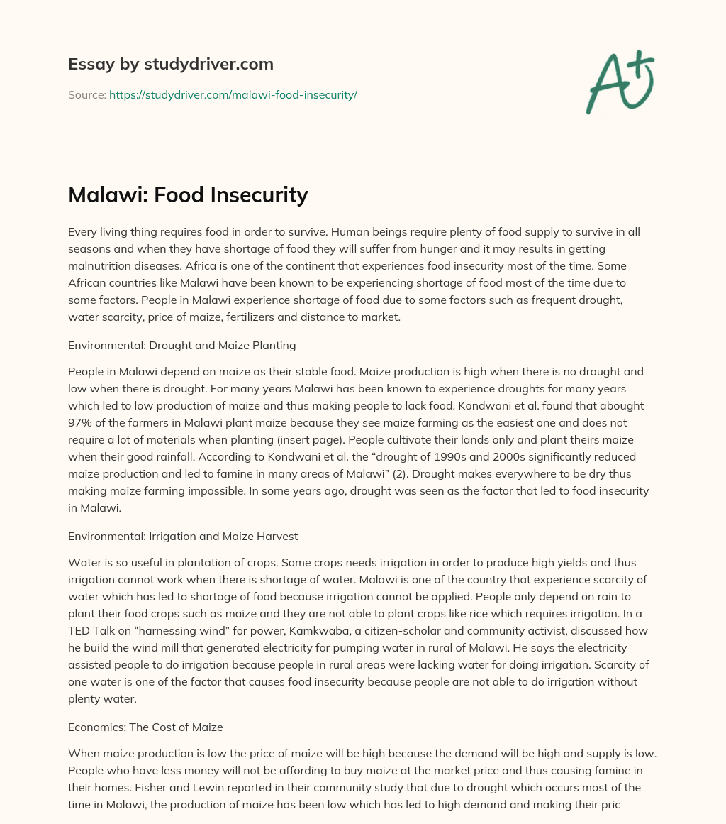 Malawi: Food Insecurity essay