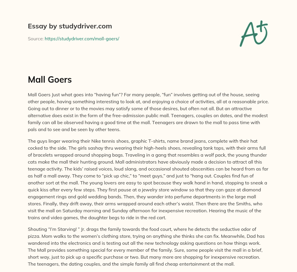 Mall Goers essay