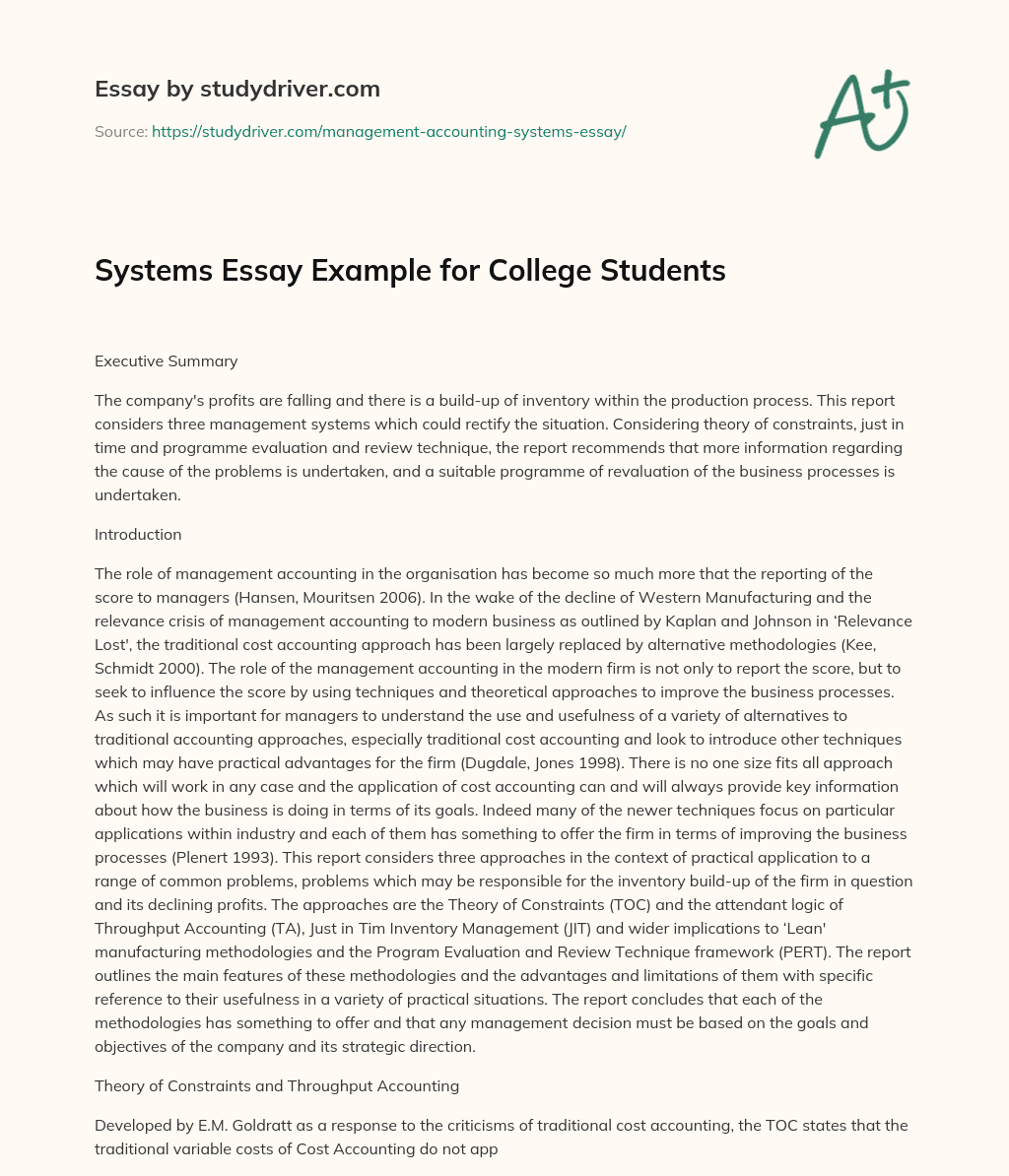 Systems Essay Example for College Students essay