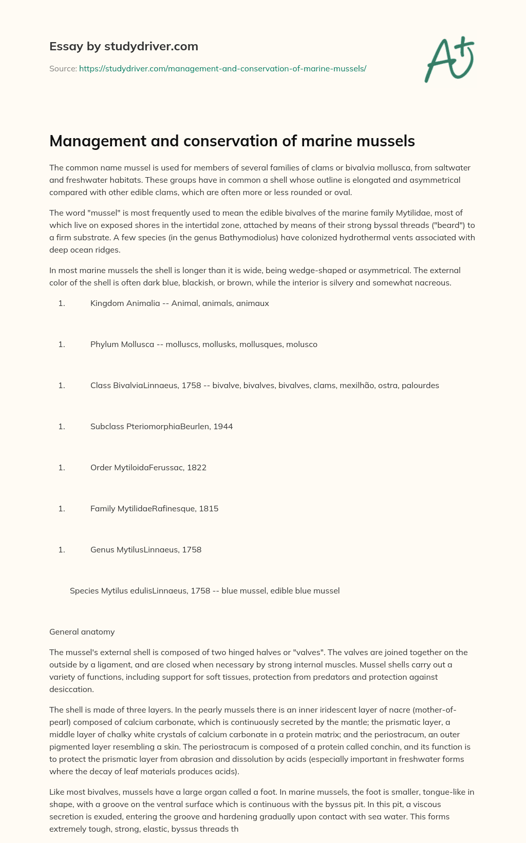 Management and Conservation of Marine Mussels essay