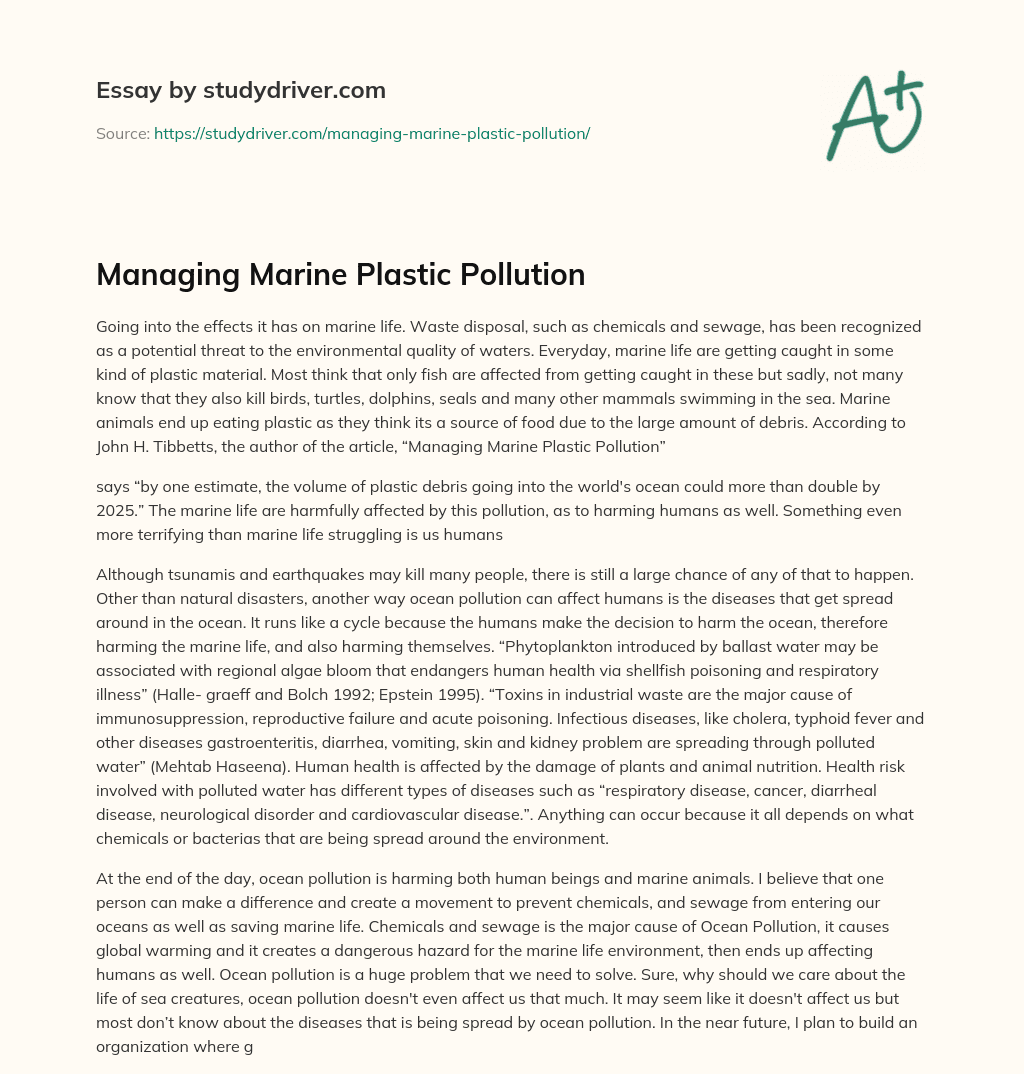 Managing Marine Plastic Pollution essay