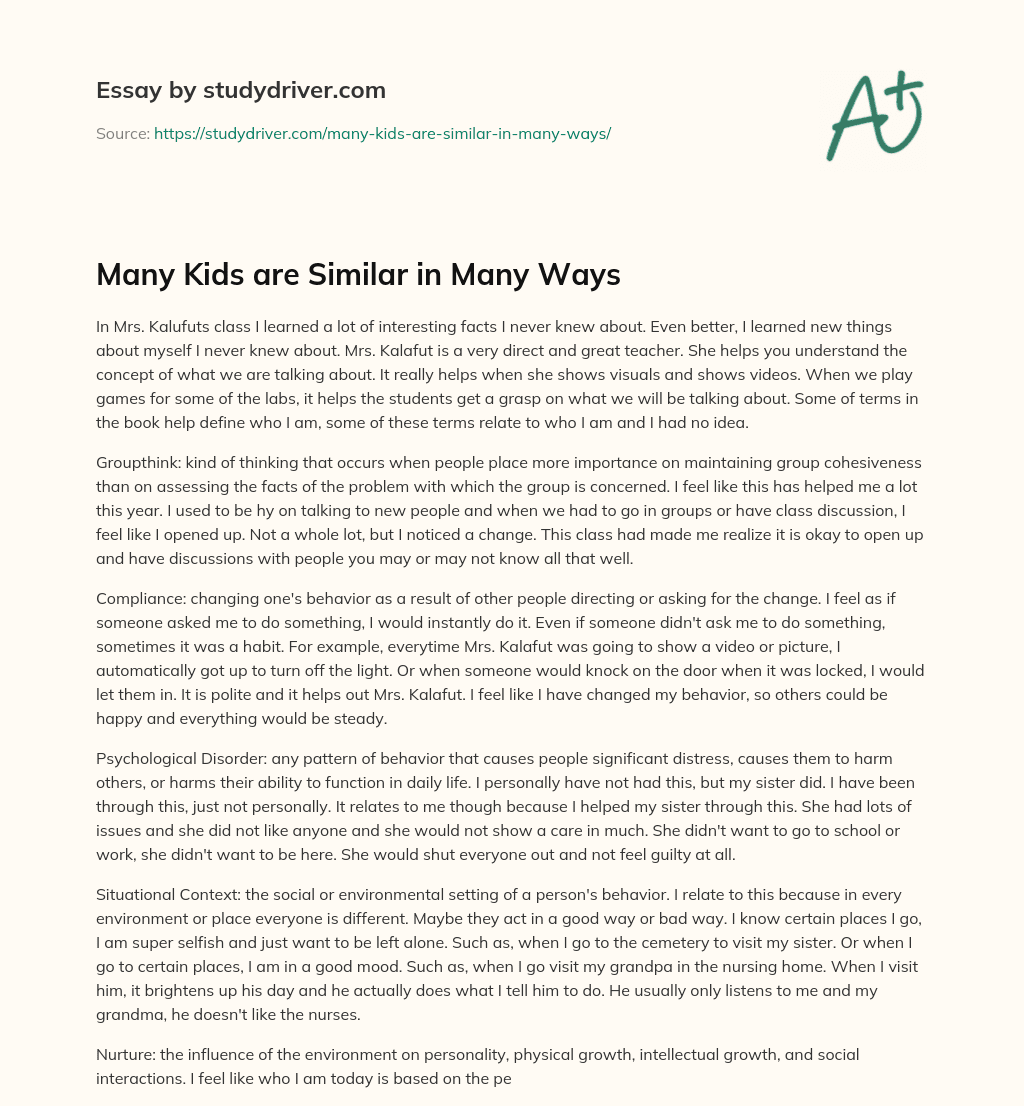 Many Kids are Similar in Many Ways essay