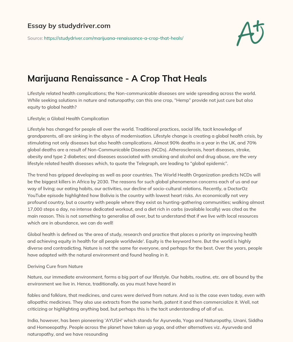 Marijuana Renaissance – a Crop that Heals essay