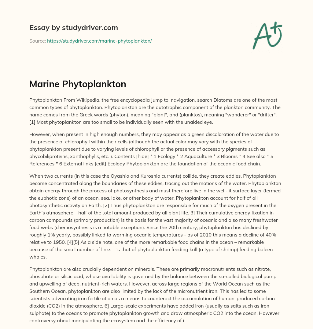 Marine Phytoplankton essay