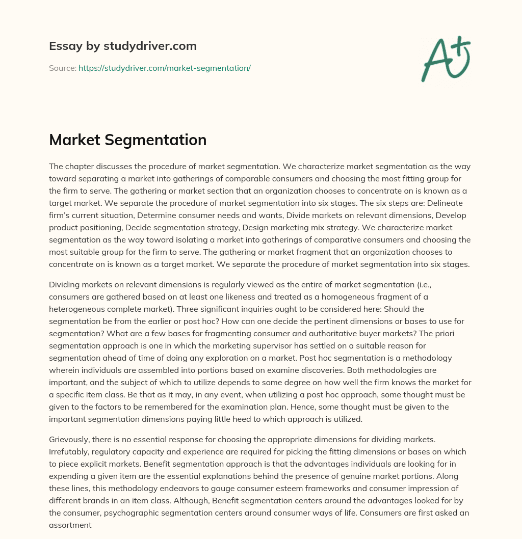 Market Segmentation essay