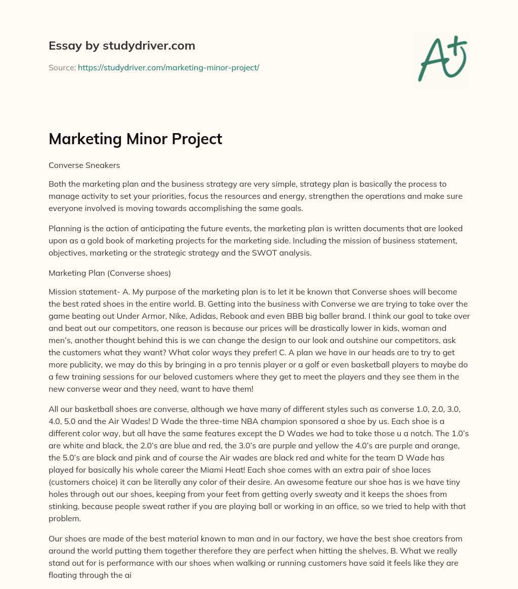 Marketing Minor Project essay