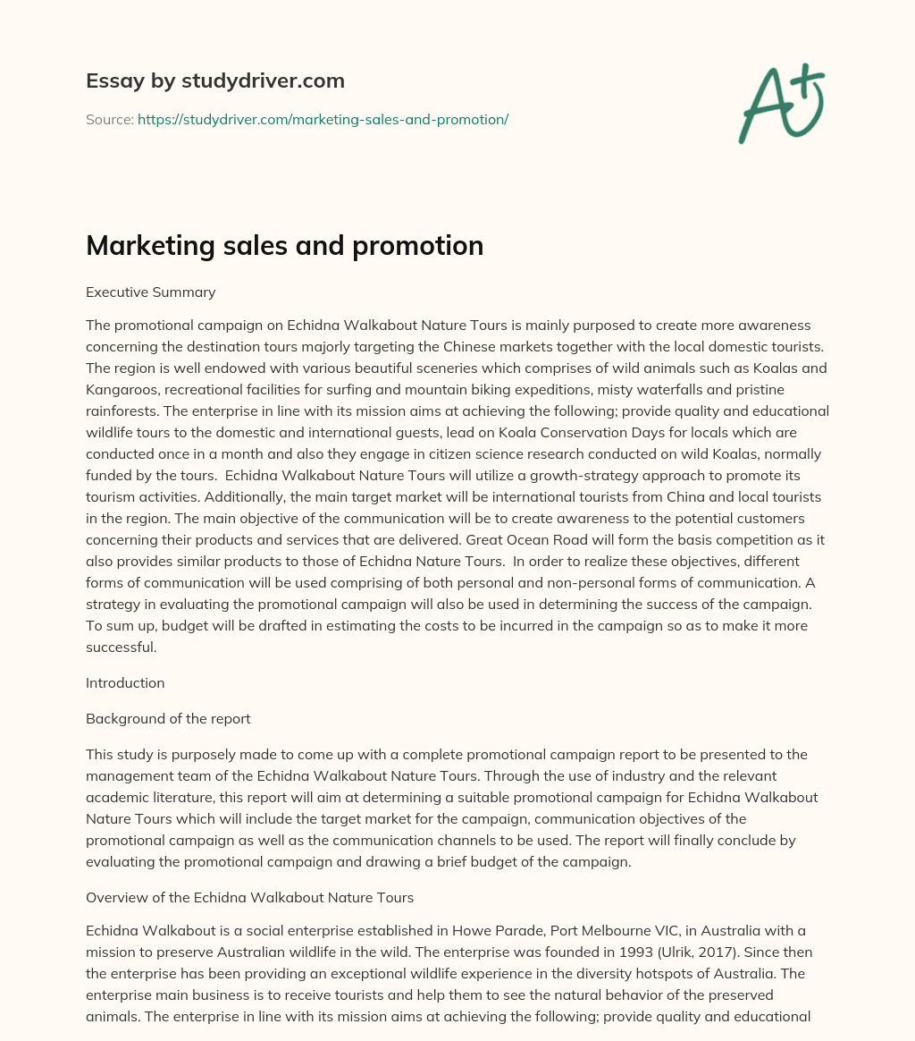 Marketing Sales and Promotion essay