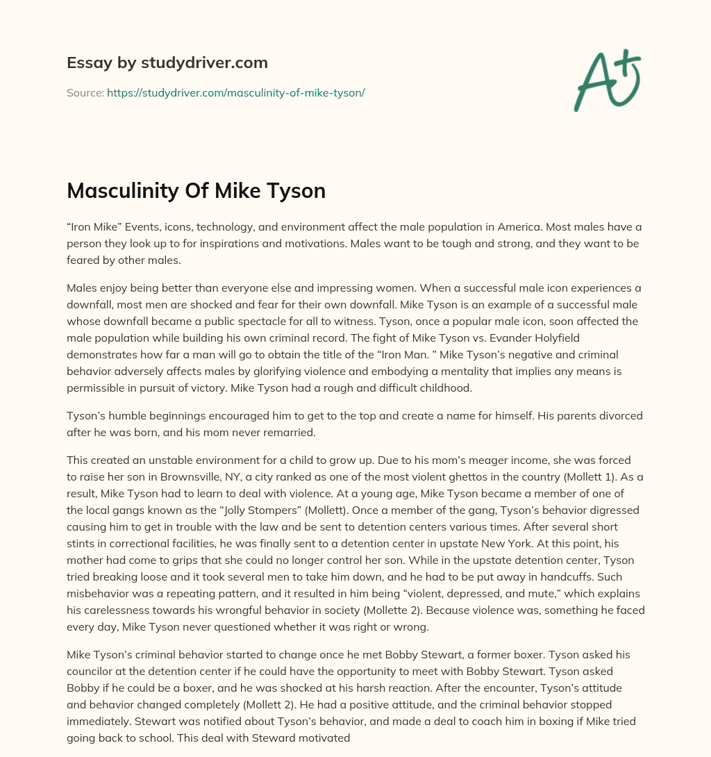 Masculinity of Mike Tyson essay