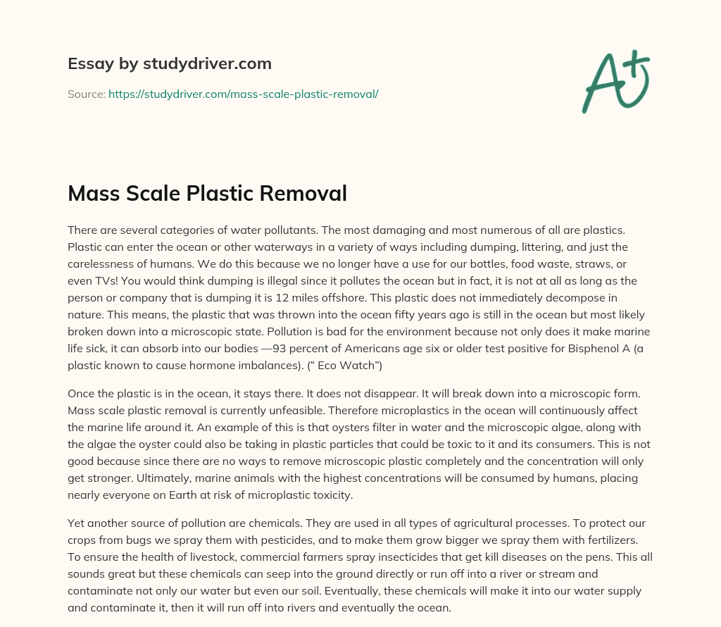 Mass Scale Plastic Removal essay