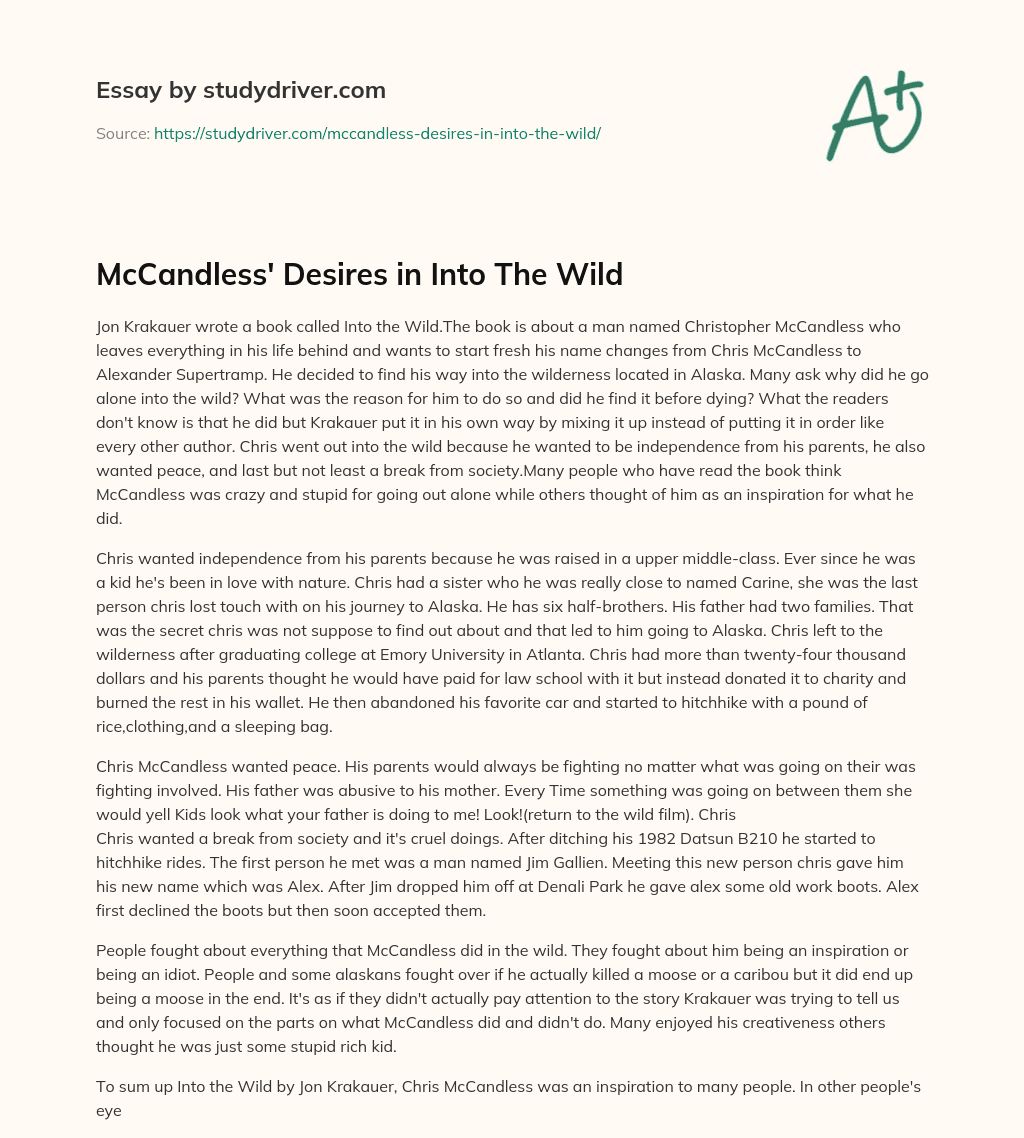 McCandless’ Desires in into the Wild essay