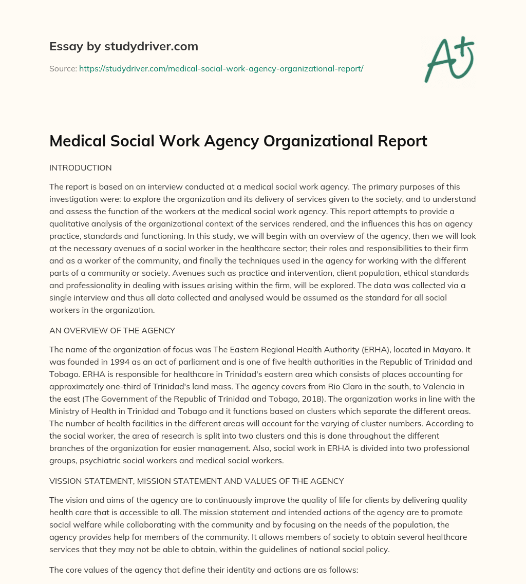 Medical Social Work Agency Organizational Report essay