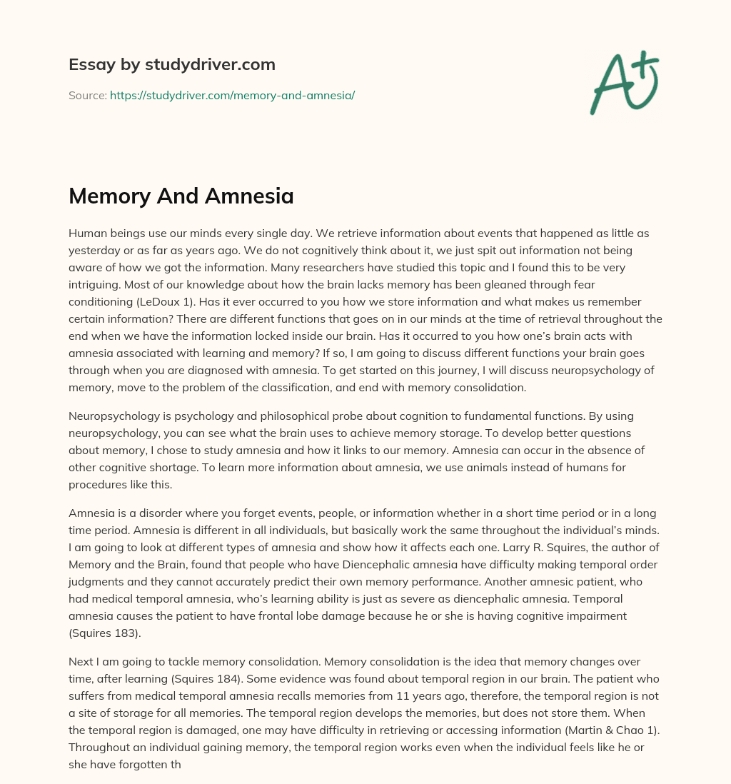 Memory and Amnesia essay