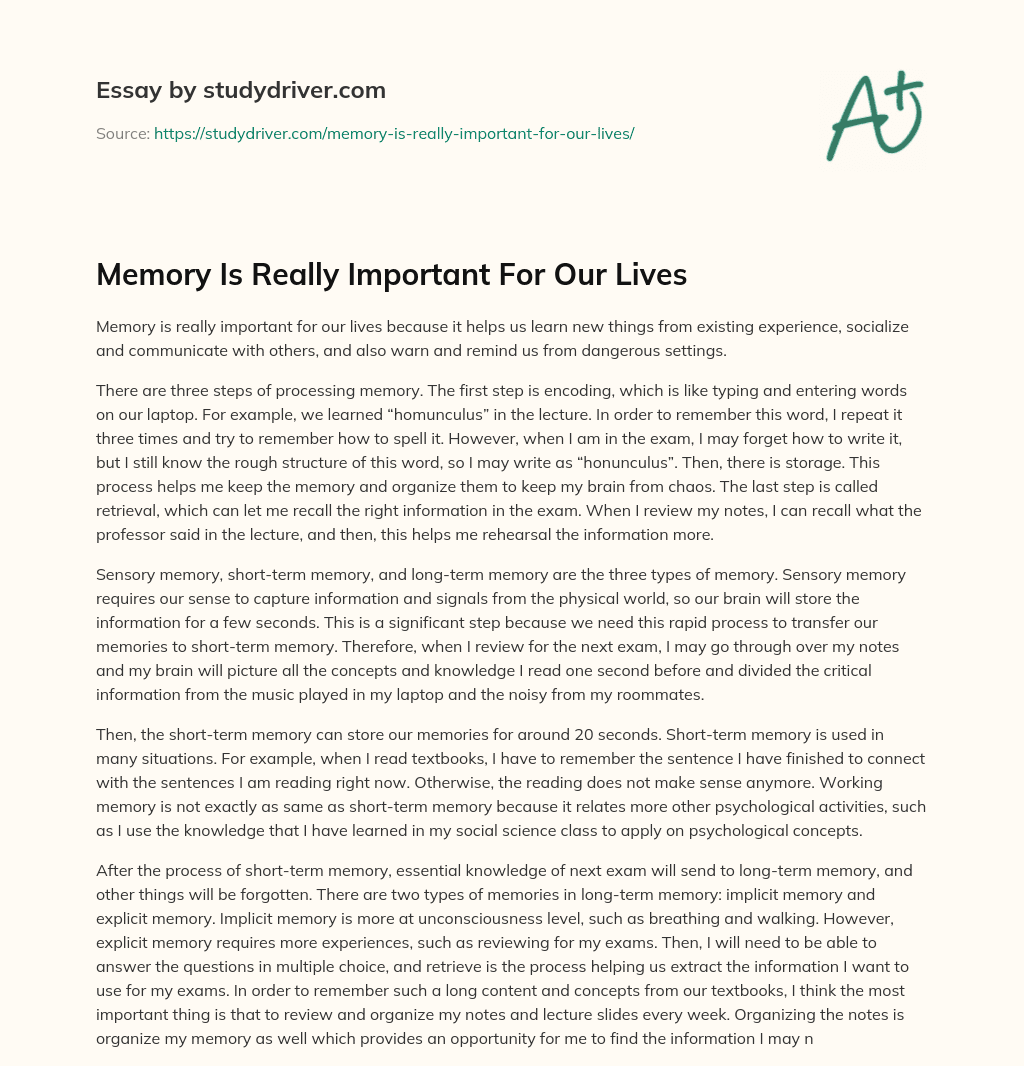 Memory is Really Important for our Lives essay