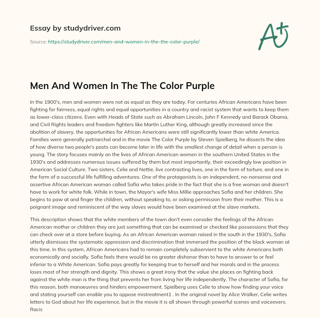 Men and Women in the the Color Purple essay
