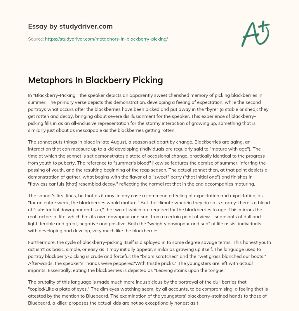 Metaphors in Blackberry Picking essay
