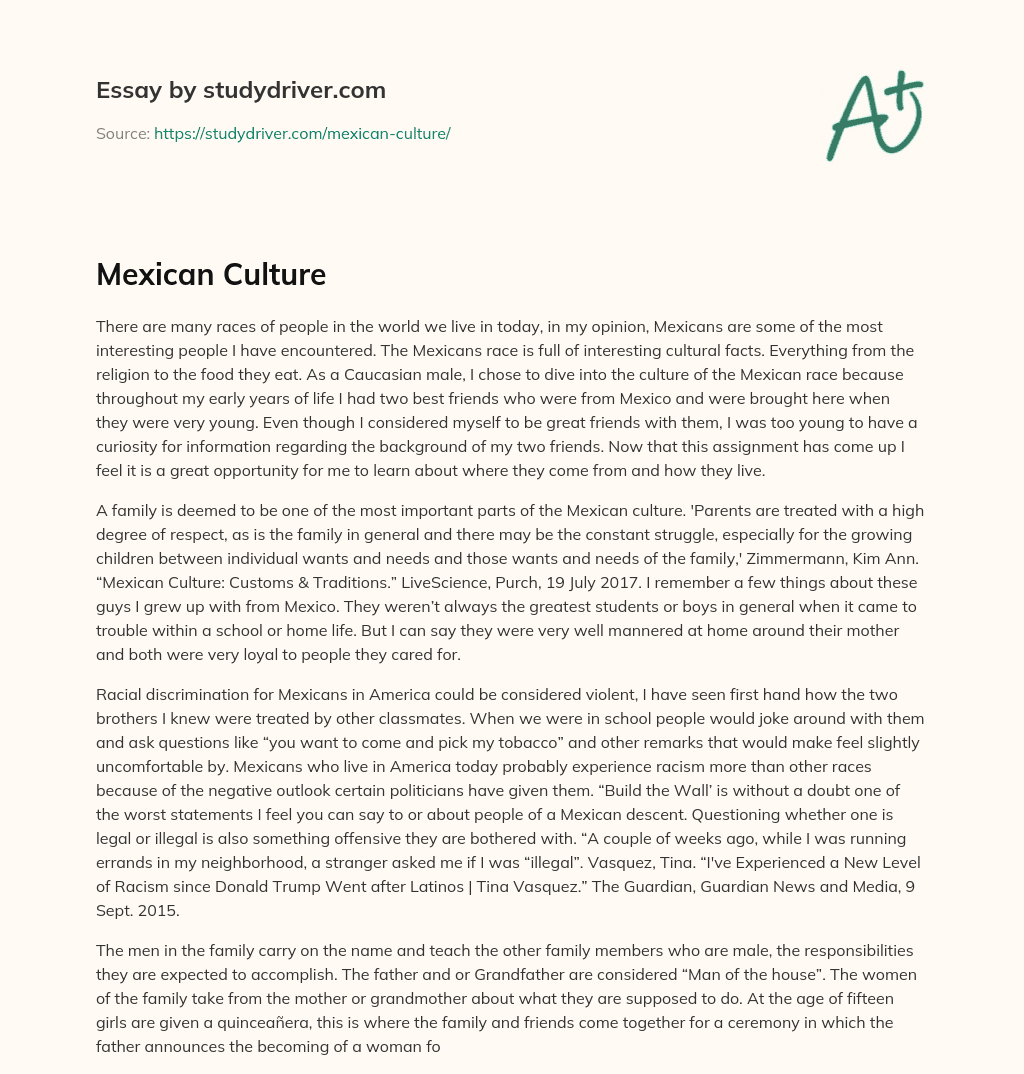 Mexican Culture essay