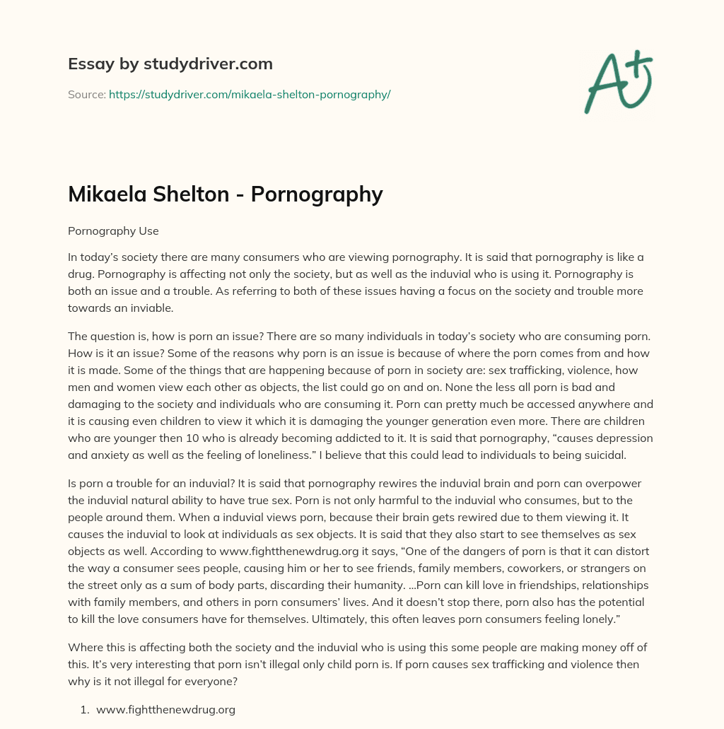 Mikaela Shelton – Pornography essay