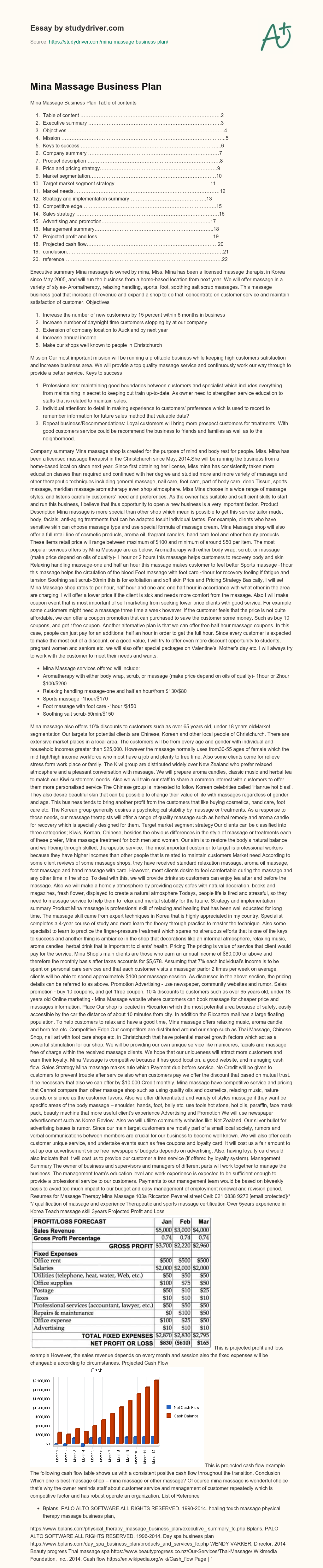 Mina Massage Business Plan essay