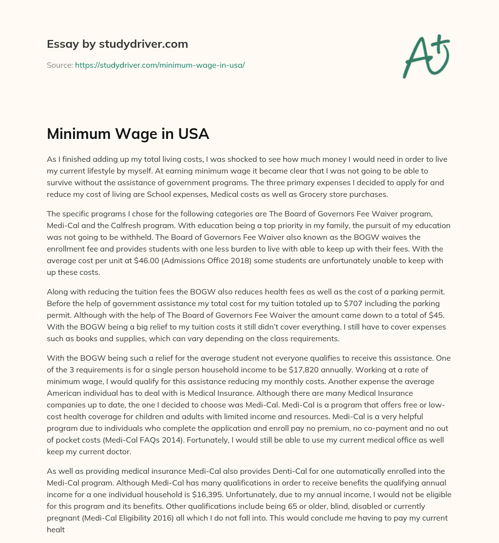 Minimum Wage in USA essay