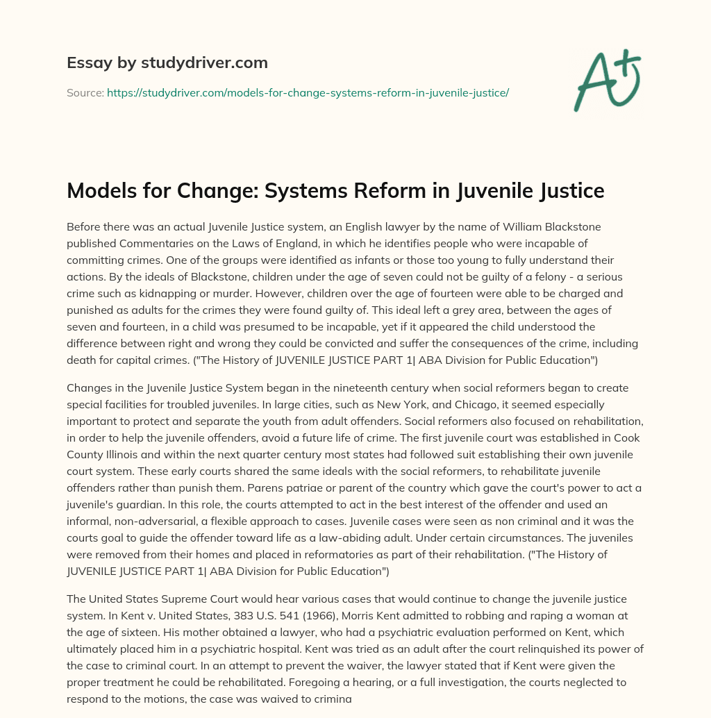 Models for Change: Systems Reform in Juvenile Justice essay