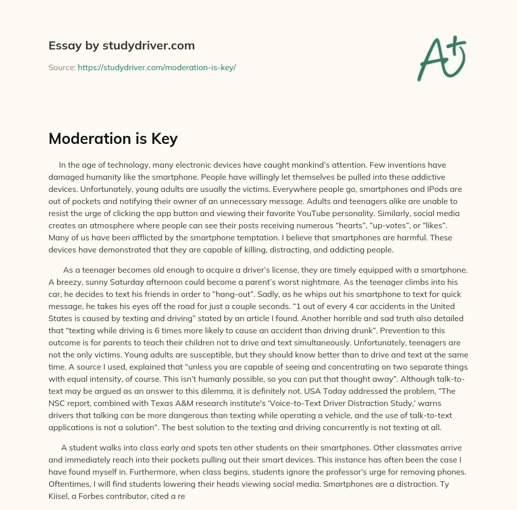 Moderation is Key essay