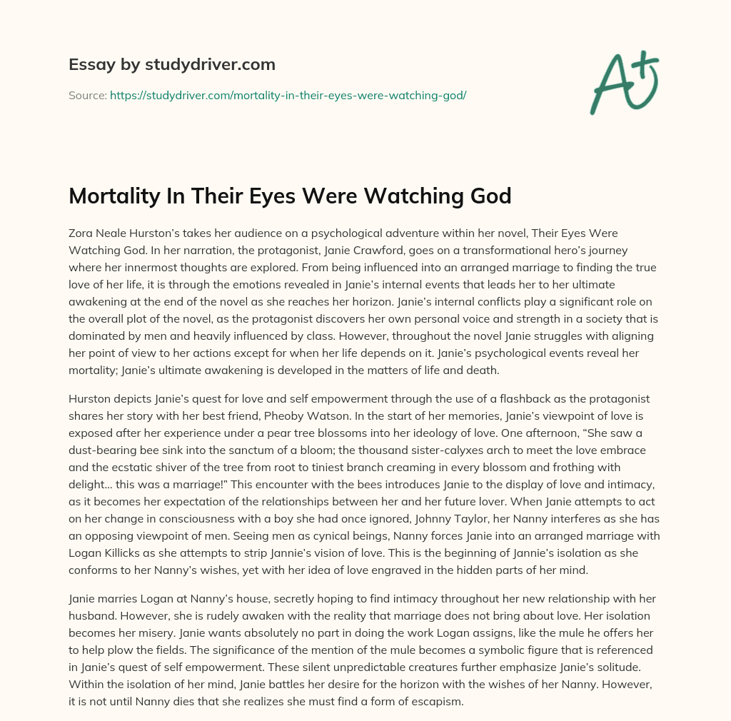 Mortality in their Eyes were Watching God essay