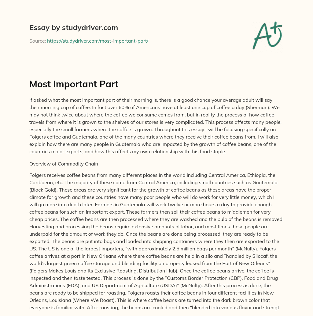 Most Important Part essay