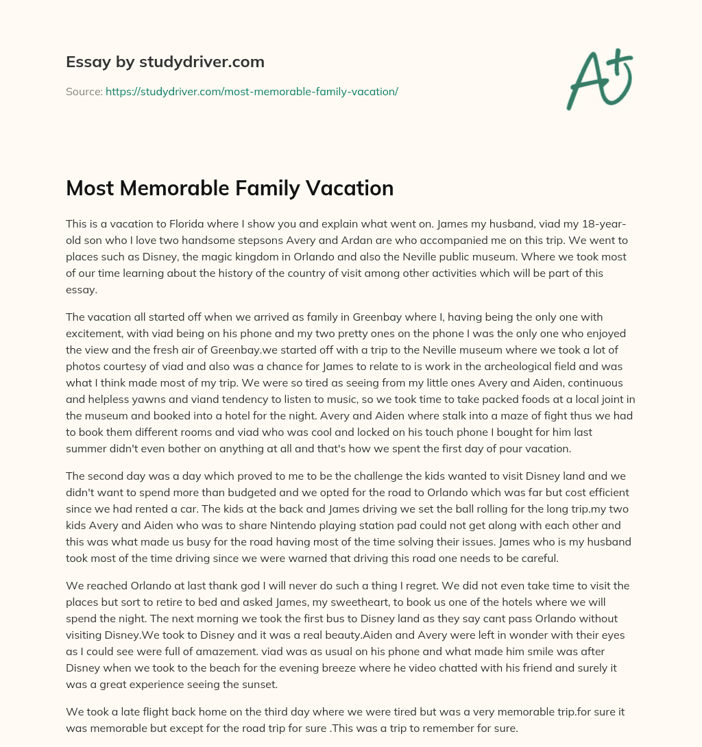 Most Memorable Family Vacation essay