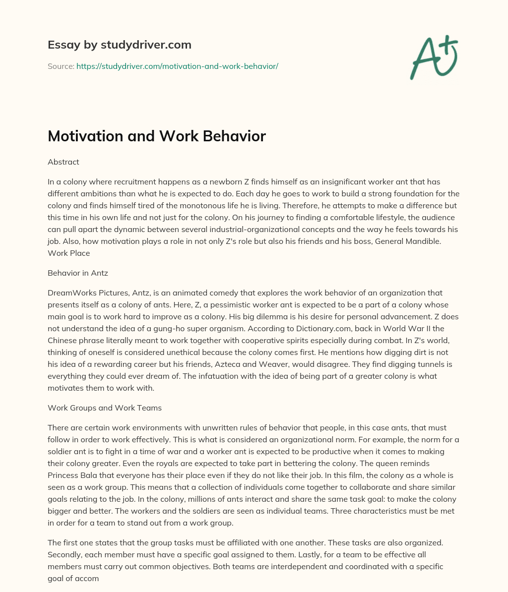Motivation and Work Behavior essay