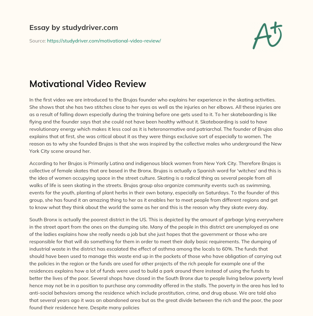 Motivational Video Review essay