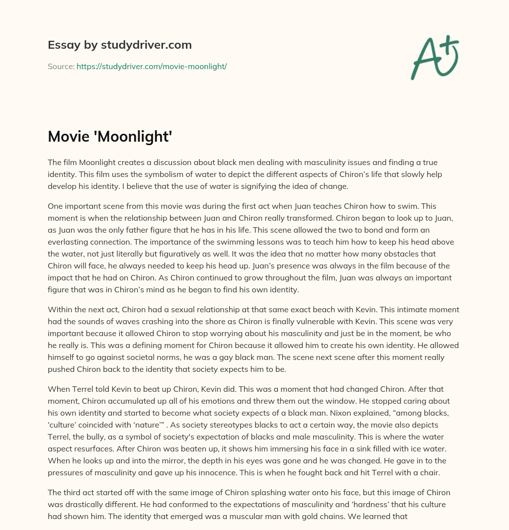 Movie ‘Moonlight’ essay