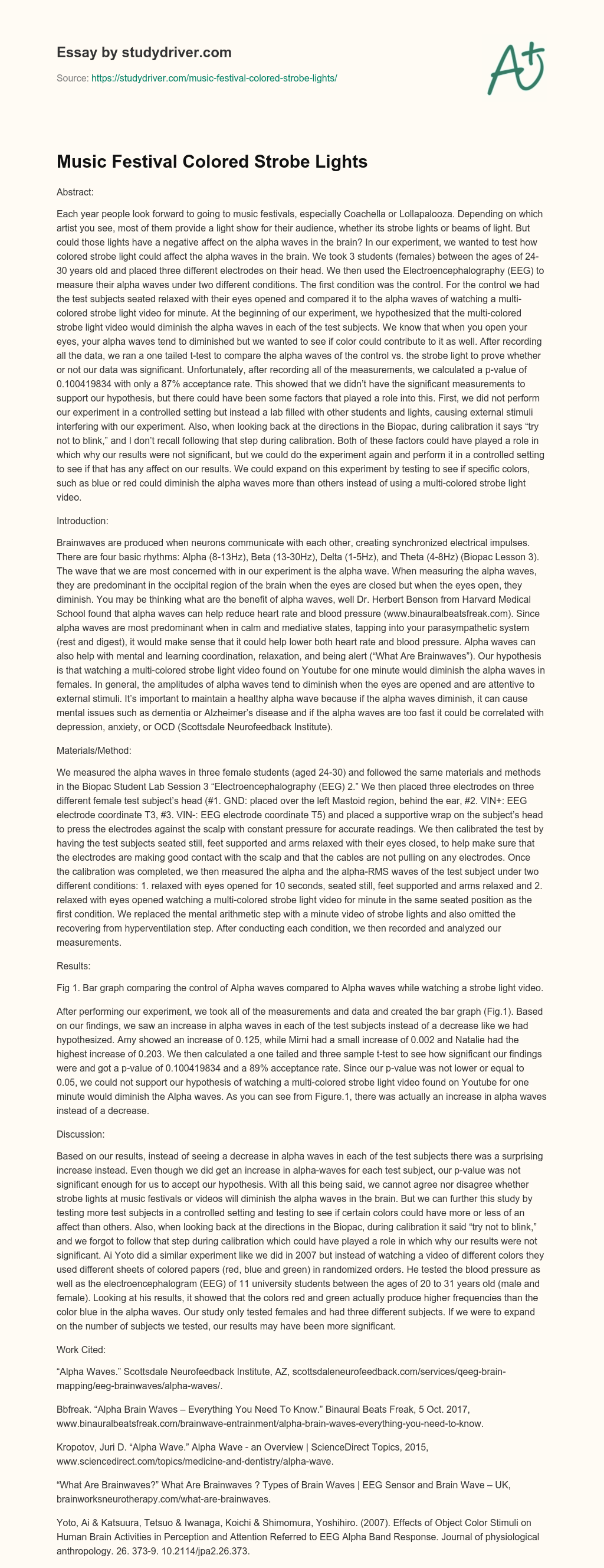 Music Festival Colored Strobe Lights essay