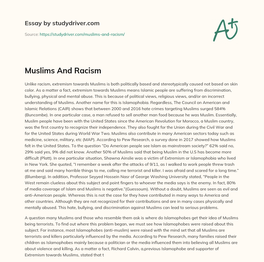 Muslims and Racism essay